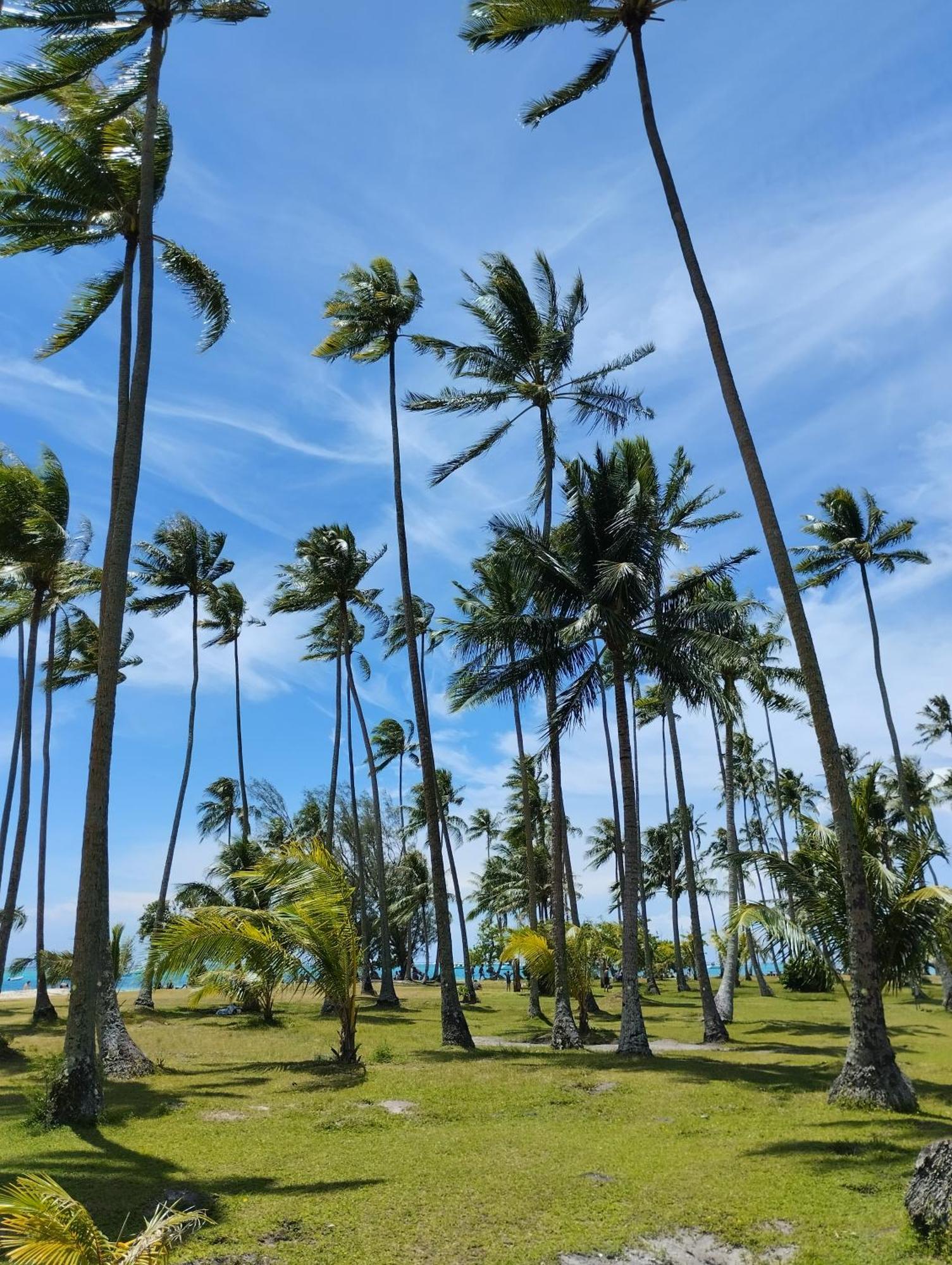 Tema'E Beach House Temae エクステリア 写真