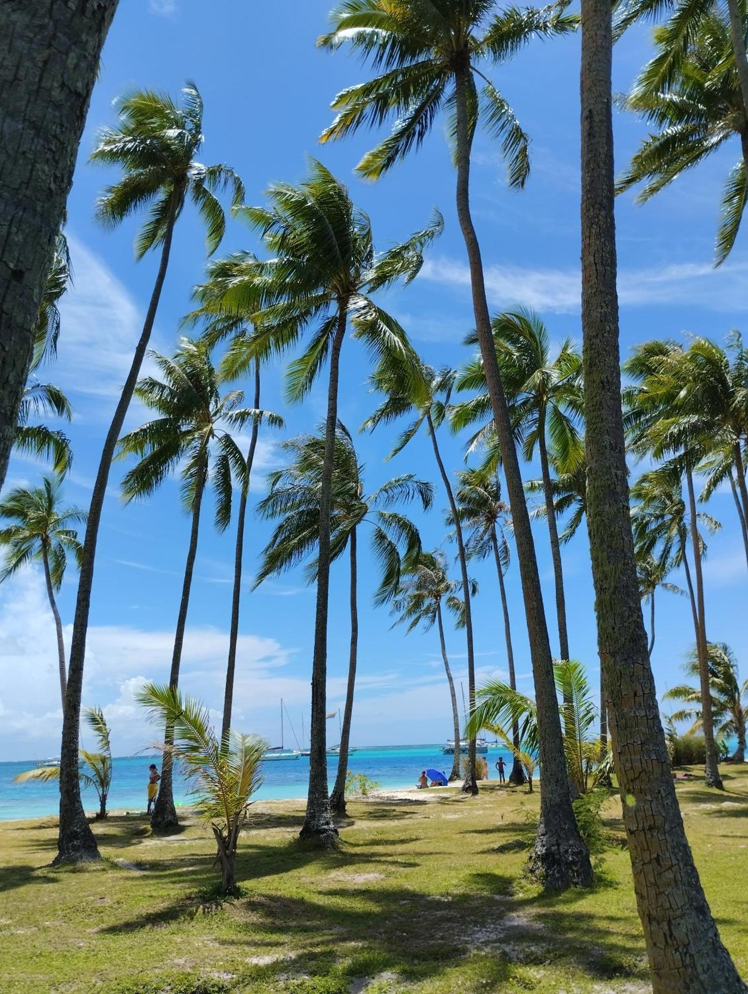 Tema'E Beach House Temae エクステリア 写真