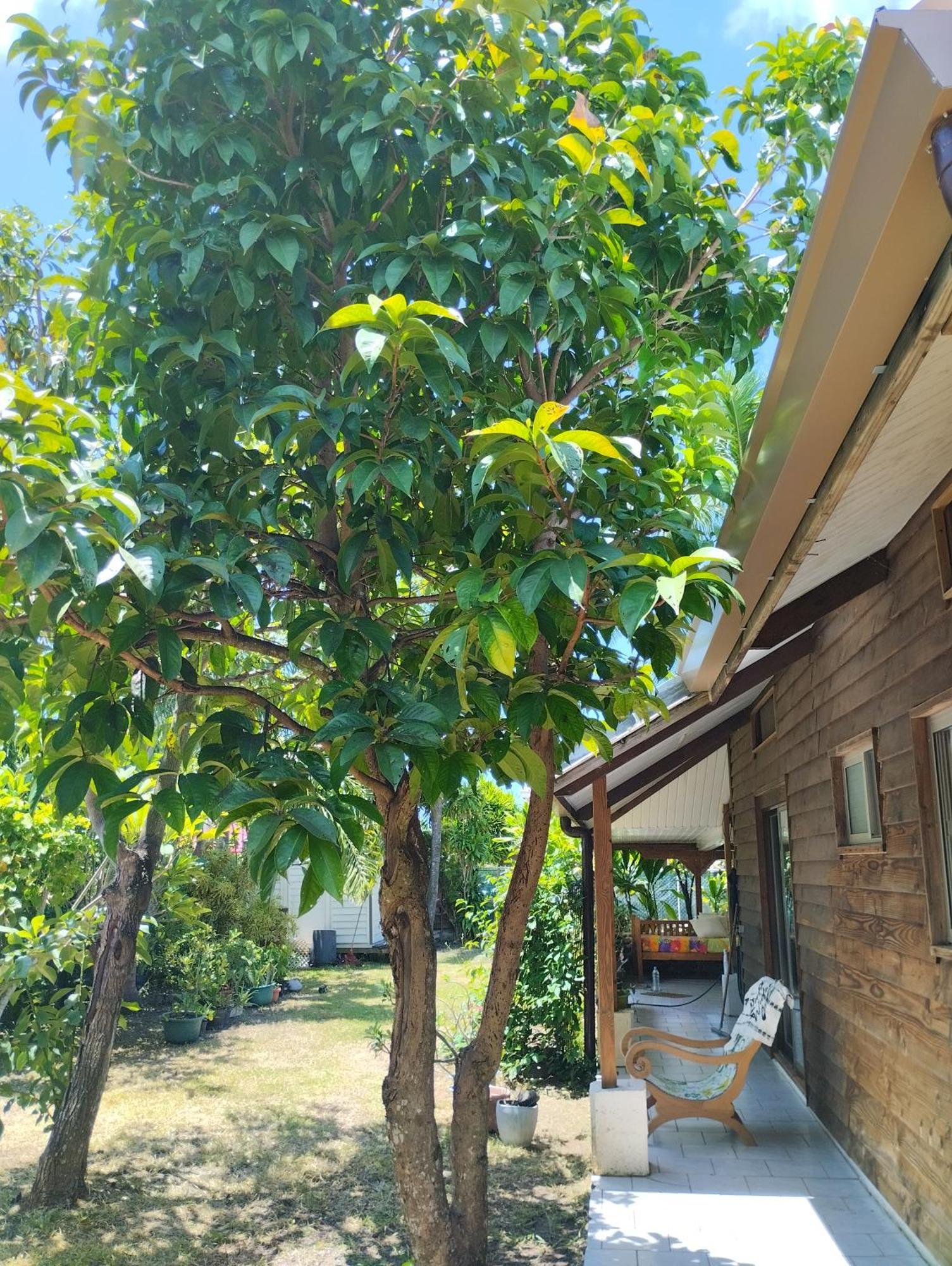 Tema'E Beach House Temae エクステリア 写真