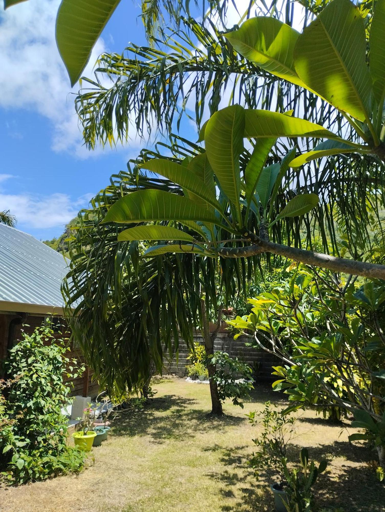 Tema'E Beach House Temae エクステリア 写真